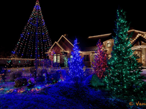 Trees, Bushes & Hedges